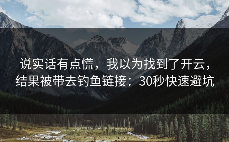 说实话有点慌，我以为找到了开云，结果被带去钓鱼链接：30秒快速避坑