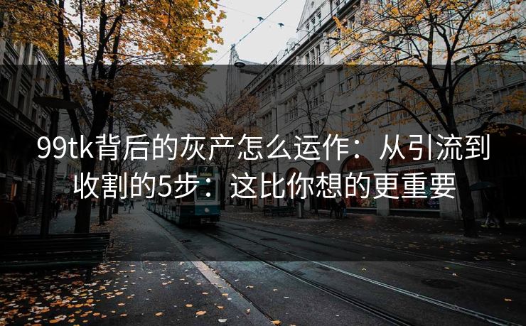99tk背后的灰产怎么运作：从引流到收割的5步：这比你想的更重要